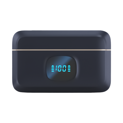BEME Mic Go 2 Professional Wireless Mic